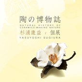 陶の博物誌 — 杉浦康益 個展