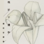 《晚近干擾物》連苡安個展